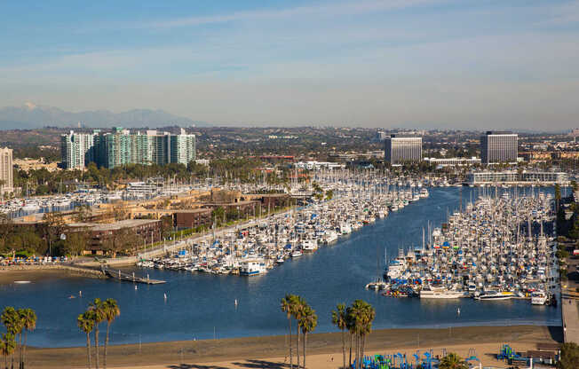 Views of the Marina