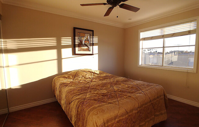 2 beds, 2 baths, 950 sqft, $2,950, Unit 206