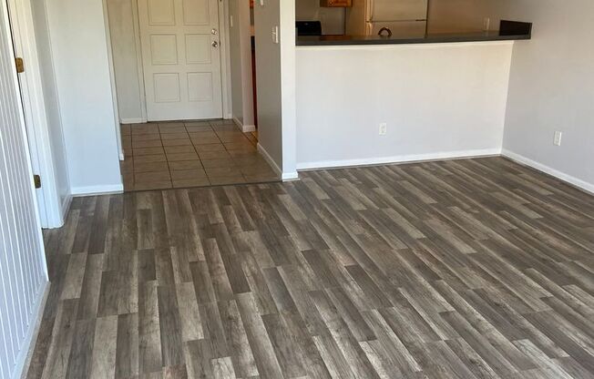 1 Bedroom Condo