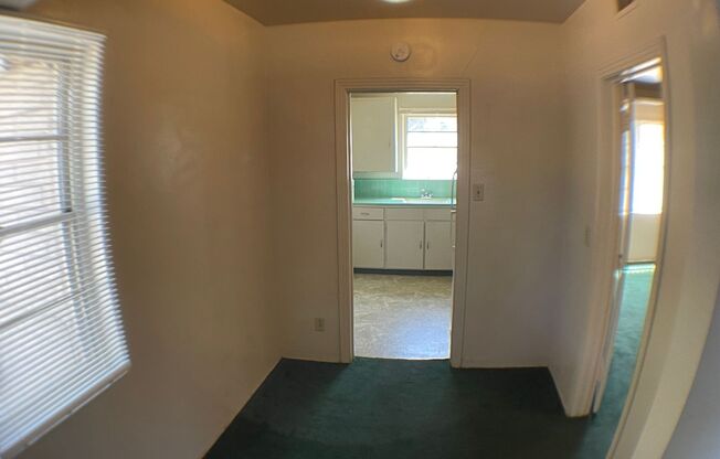 1 bed, 1 bath, $1,450