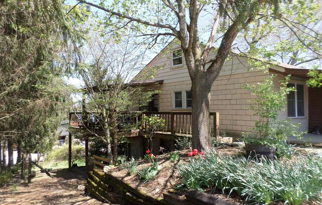 3 Bedroom 1 Bath House