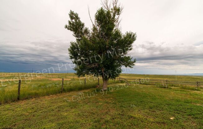Gorgeous horse property in Carr Colorado