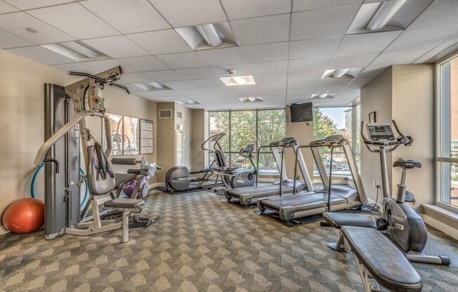 1 bed, 1 bath, 785 sqft, $2,699, Unit 705