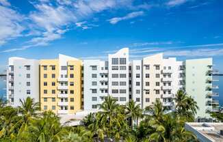a rendering of the residence inn clearwater beach with palm trees
