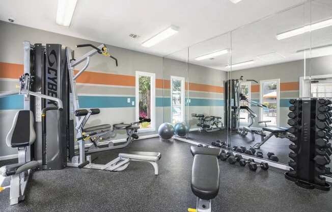 the gym is equipped with weights and other gym equipment