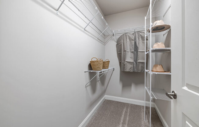 a walk in closet with white walls and a white closet with shelves and a door