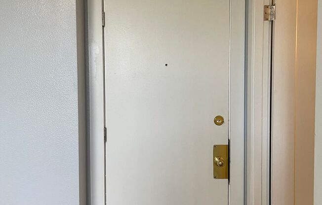 Studio, 1 bath, 300 sqft, $1,350, Unit 208