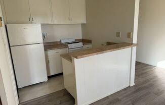 1 bed, 1 bath, 425 sqft, $1,495, Unit 309