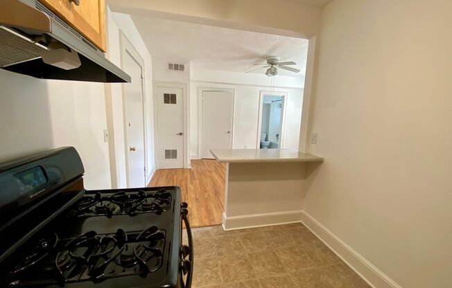 1 bed, 1 bath, 475 sqft, $1,500, Unit 788-06