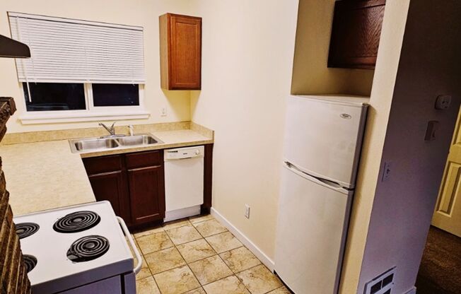 Studio, 1 bath, 500 sqft, $999, Unit A (217)