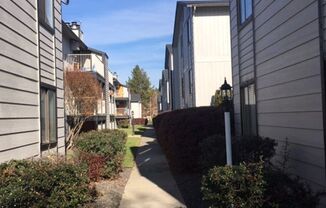 1 bed, 1 bath, 800 sqft, $1,100, Unit 2