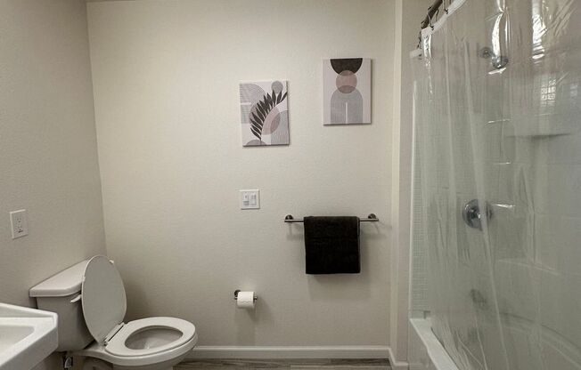 1 bed, 1 bath, 437 sqft, $2,795, Unit 302