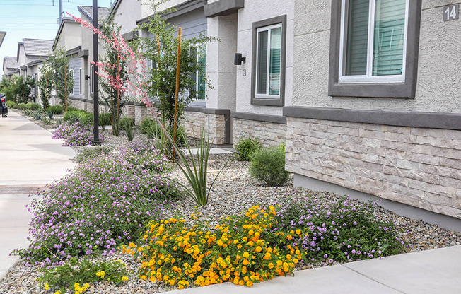 a garden with flowers in front of a house