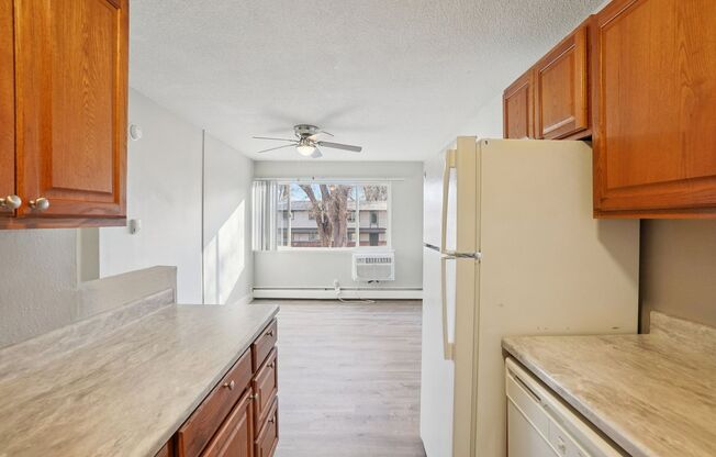 1 bed, 1 bath, 545 sqft, $795, Unit Unit 301
