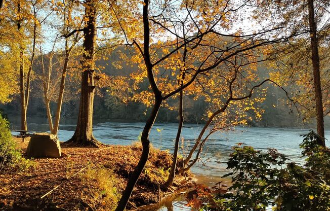 Walton on the Chattahoochee River views