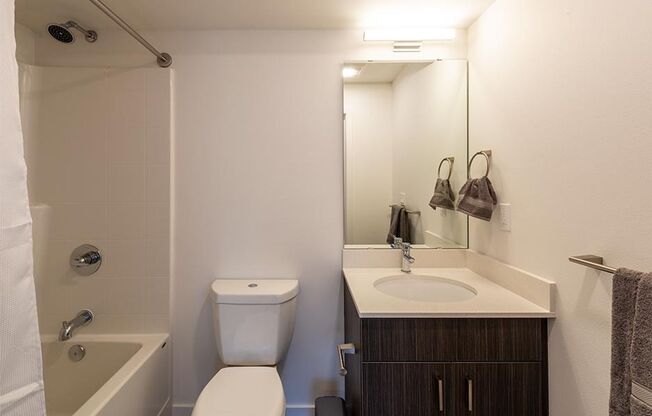 1 bed, 1 bath, 355 sqft, $1,695, Unit 301