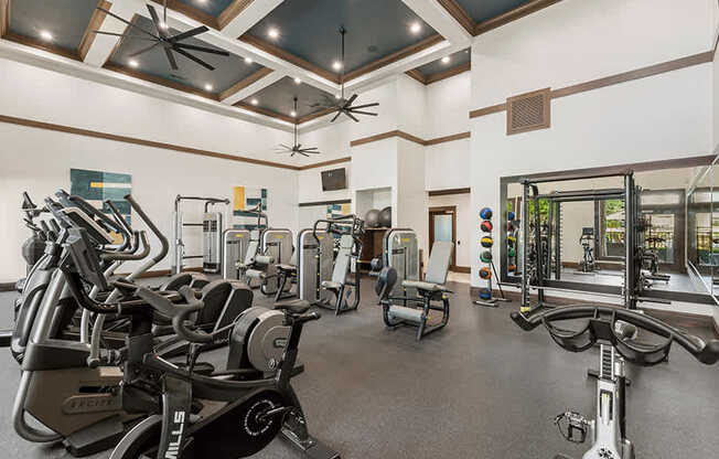 StoneLedge Apartments - Technogym cardio machines - Coppell, TX Apartments