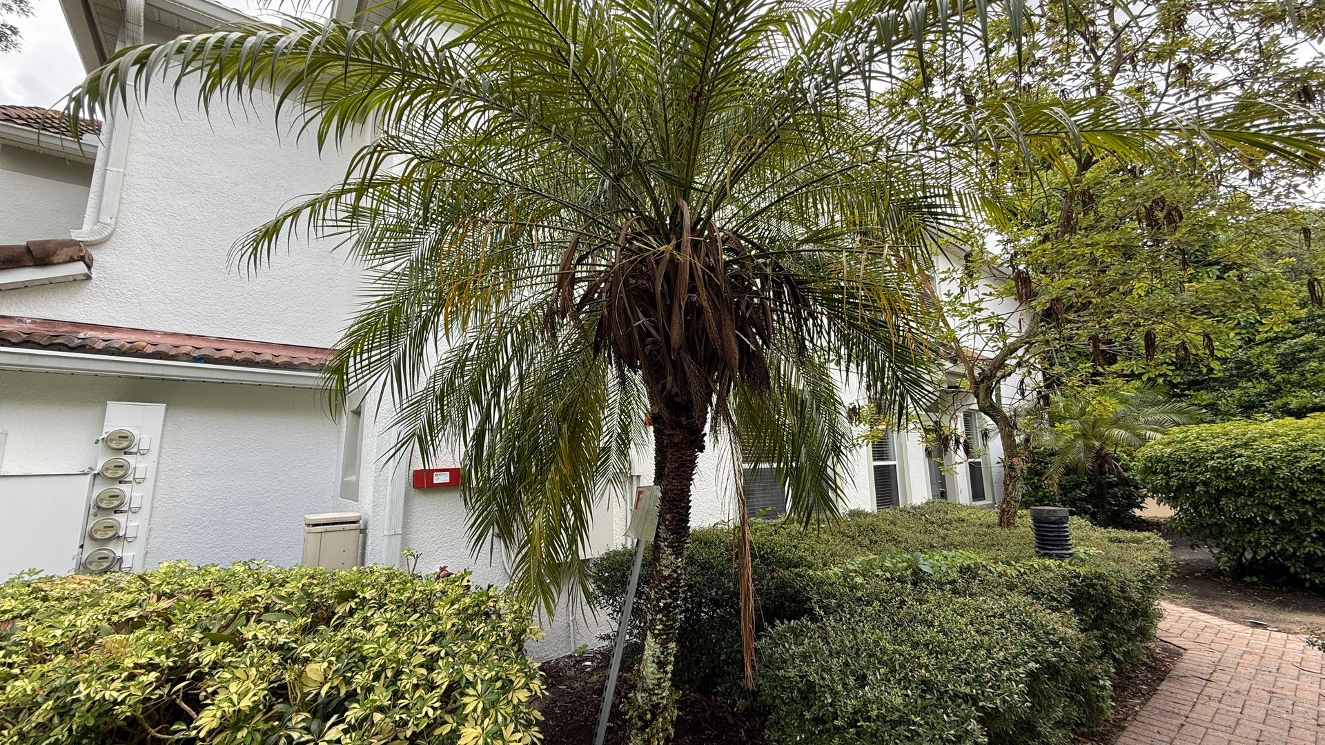Prime Orlando Location – Gate Community - End-Unit Townhome with Exceptional Curb Appeal!