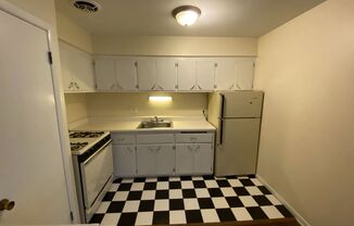 Studio, 1 bath, $750, Unit 110