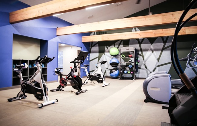 a gym with cardio equipment and weights on the floor