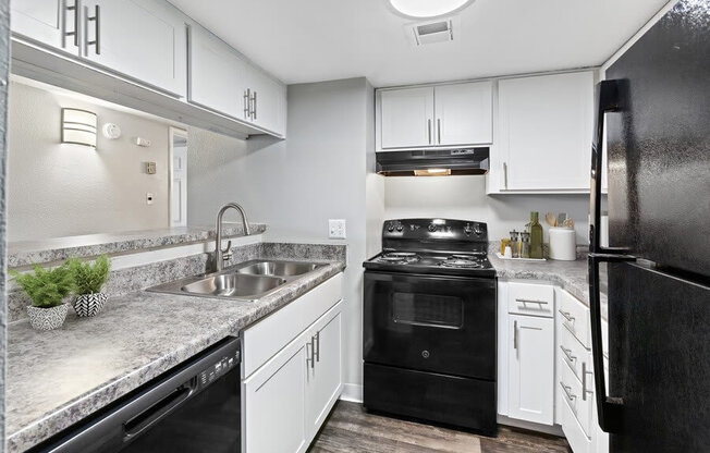 Model kitchen