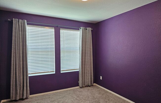 Single-Story Charmer in Pflugerville!