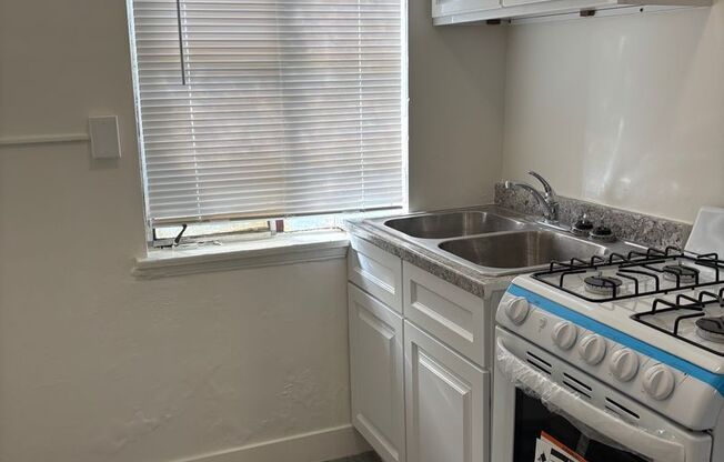 Studio, 1 bath, 300 sqft, $1,300, Unit 3249_1/4