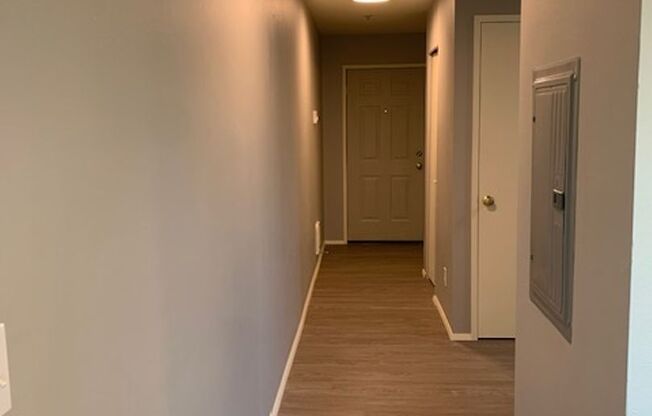 Studio, 1 bath, 484 sqft, $1,200