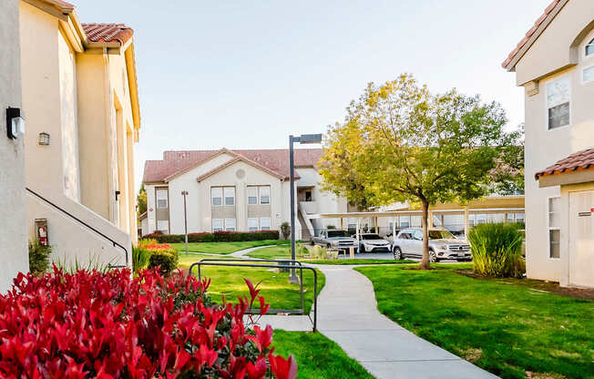 A residential area with houses and a sidewalk.