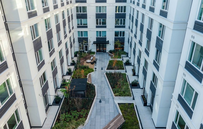 Experience the serenity of Modera Morrison's outdoor courtyard with lush landscaping, right in the heart of Portland.