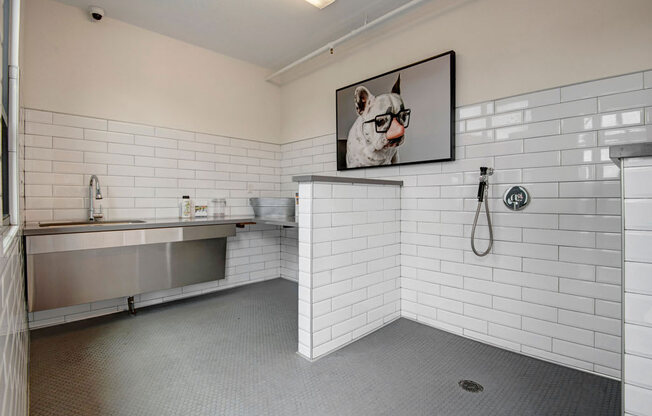 Park on Central Pet Wash Station