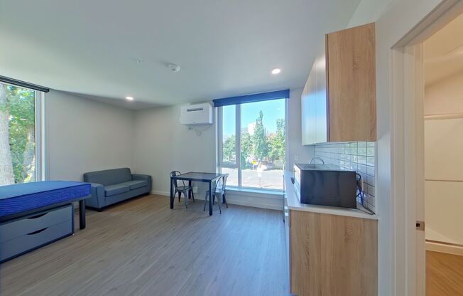 Studio, 1 bath, 314 sqft, $1,225, Unit 201