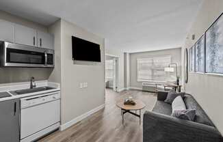 Studio Domain Apartments in Austin, Texas Model Living Room