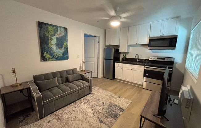1 bed, 1 bath, 378 sqft, $1,883, Unit A-102