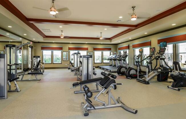 Professional Fitness Center at The Sedona Luxury Apartments in Tampa FL