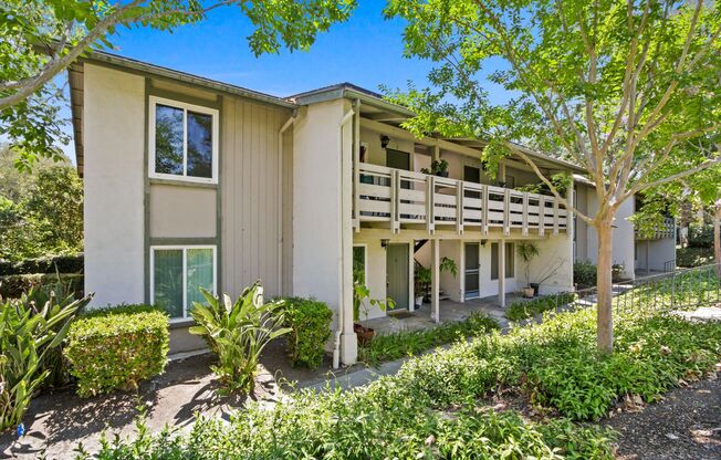 23732 Hillhurst Dr. Apt 1 Laguna Niguel, CA 92677