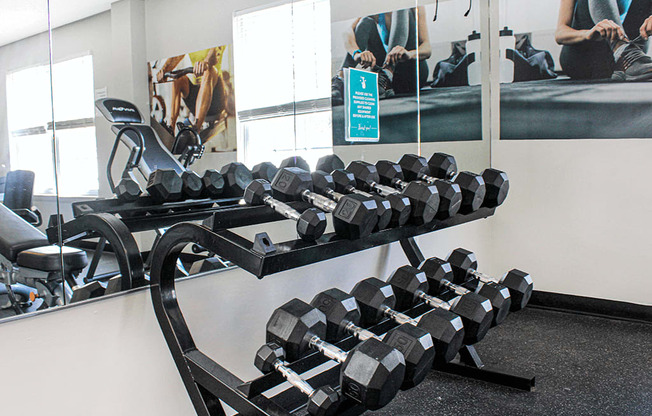 A gym with a bench full of black dumbbells.