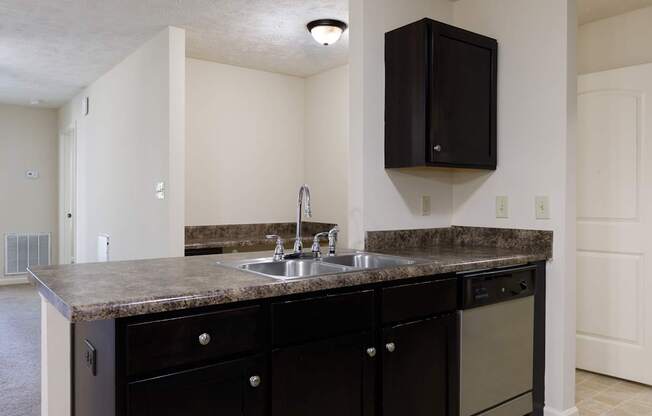 A kitchen with a sink and a cabinet above it.