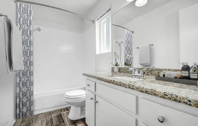 a bathroom with a sink and a toilet and a shower