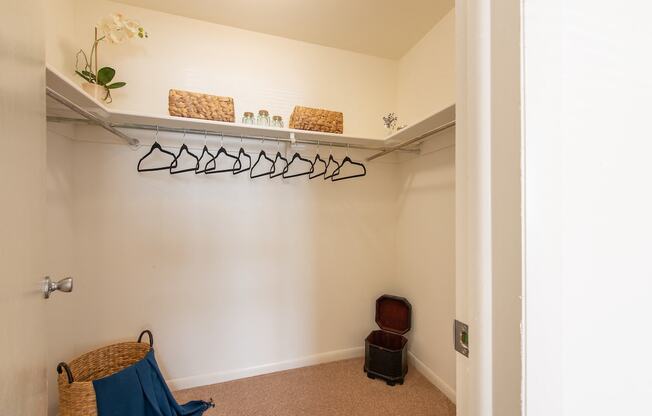 Large Closet Space at Middletown Valley, Middletown, 21769