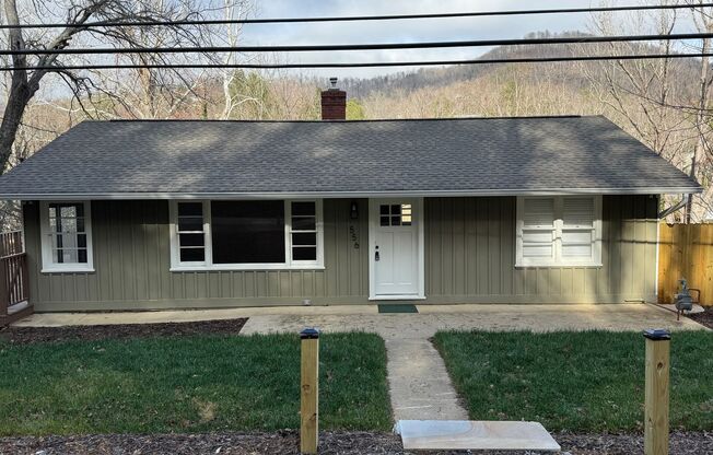 North AVL - Renovated Farmhouse with Bonus Rooms