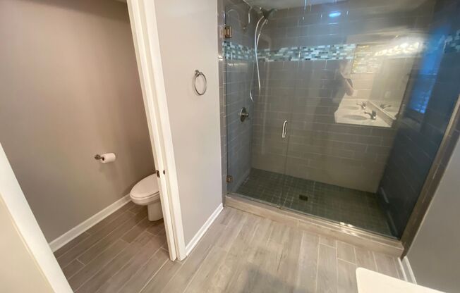 4 beds, 2.5 baths, $4,199