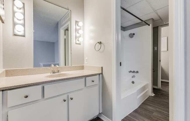 a bathroom with a sink and a shower and a mirror