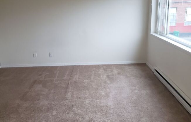 1 bed, 1 bath, 475 sqft, $1,250, Unit 207