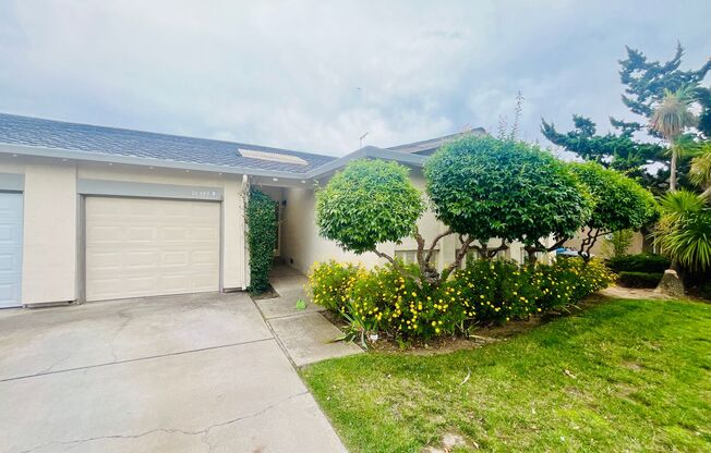 10344 Vista Drive