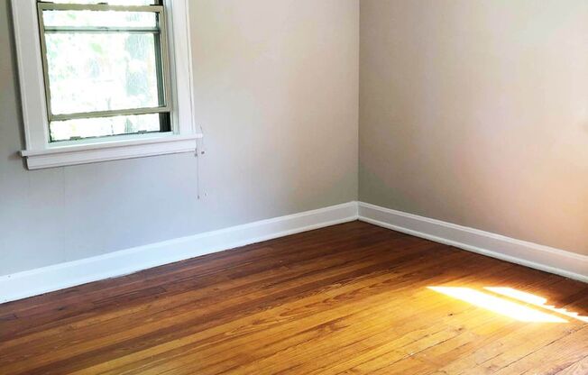 1 bed, 1 bath, 545 sqft, $925, Unit 451-206