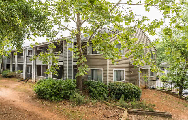 A tree in front of a building with a brown dirt path.