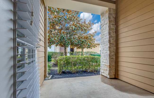 A view from a covered walkway looking out to a tree and shrubs.