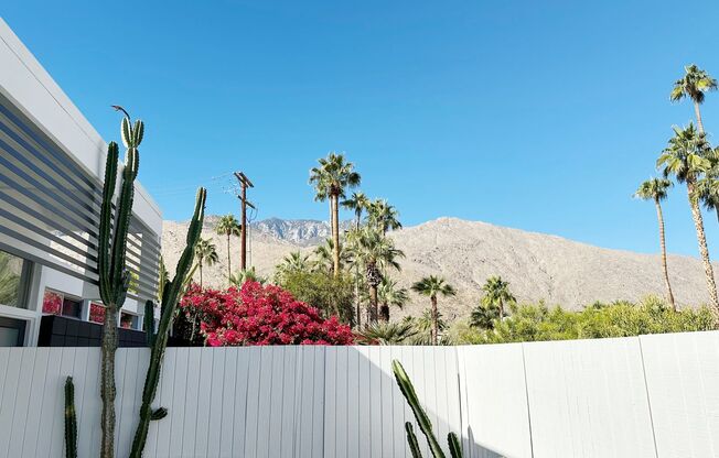 Stunning Midcentury Retreat in Twin Palms Estates