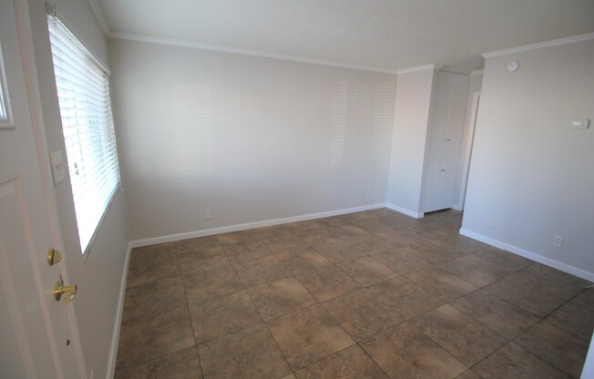 1 bed, 1 bath, 567 sqft, $1,045, Unit 1